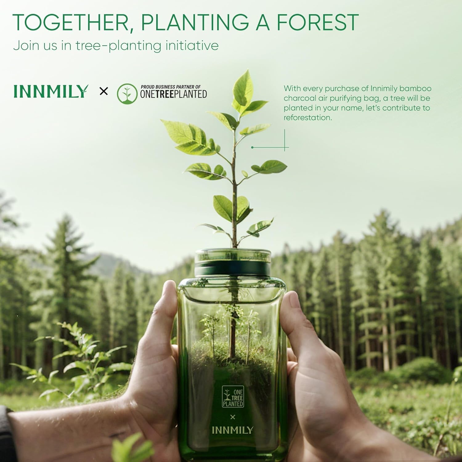 6 Pack Activated Charcoal Odor Absorber Bags Shoe Deodorizer Air Purifier